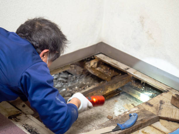 Crawl Space Mold Removal in Breckenridge, CO