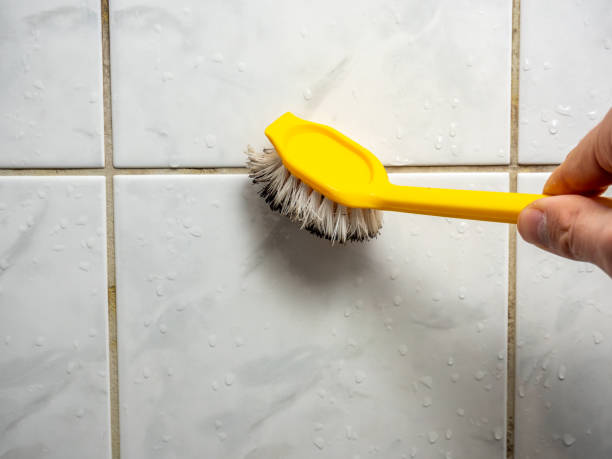 Best Commercial Mold Removal  in Breckenridge, CO