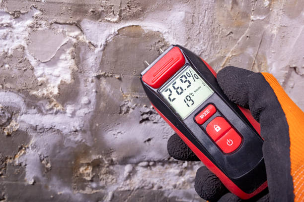 Best Local Mold Removal Service  in Breckenridge, CO